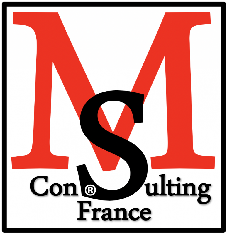 MS CONSULTING