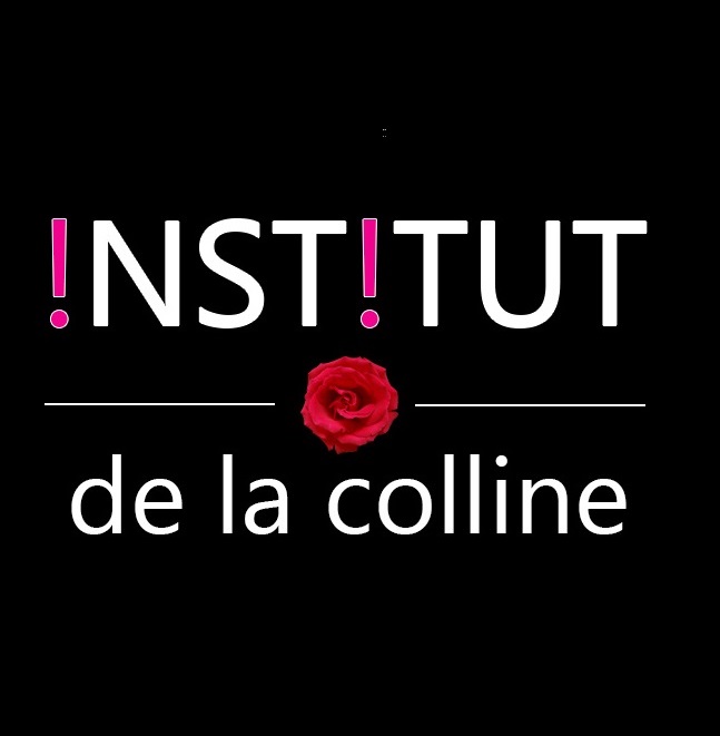 logo INSTITUT.2.jpg
