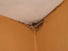 Traitement humidité: Hydrofugation (imperméabilisation) des murs